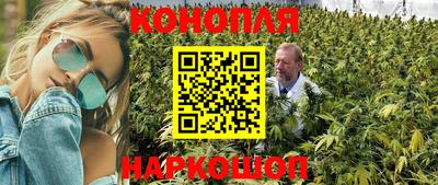 мяу мяу мука Краснознаменск
